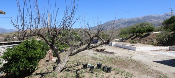 Дом с 3 спальнями в Канильи де Асейтуно, Испания № 131263 23