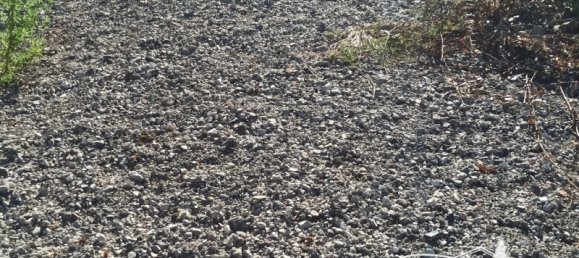 1774m² Land in Magione, Italy No. 73329 2