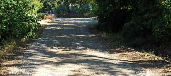 1774m² Land in Magione, Italy No. 73329 4