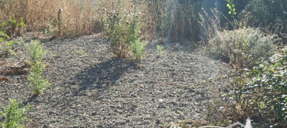 1774m² Land in Magione, Italy No. 73329 3