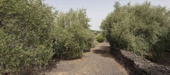 Casa T2 em Ragalna, Italy N.º 270018 22