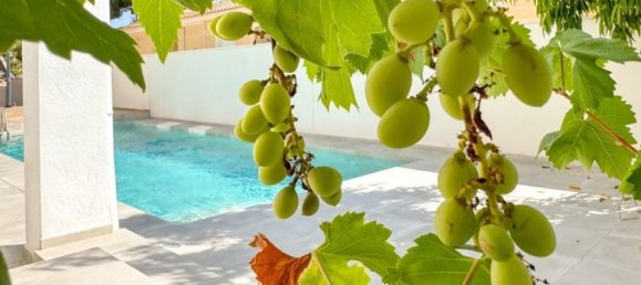 4 bedrooms Villa in Torrevieja, Spain No. 184795 11