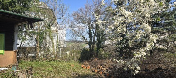 Land in Dobling, Austria No. 85734 6