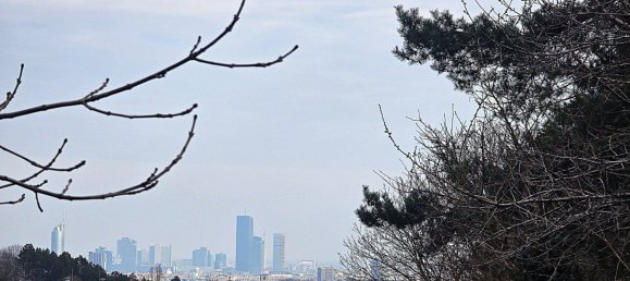 Land in Dobling, Austria No. 85734 11