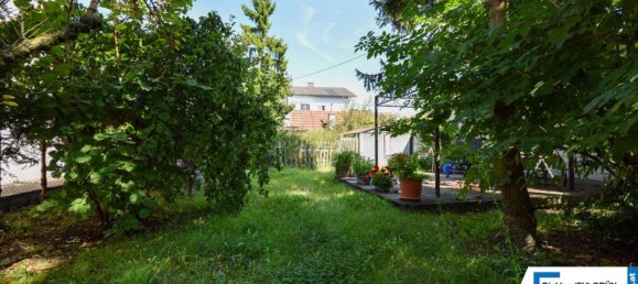 4غرفة منزل في Traun, Austria رقم 239704 33