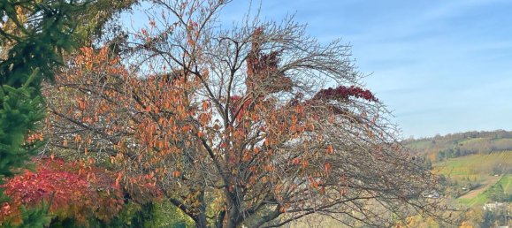  قطعة أرض في Klosterneuburg, Austria رقم 20113 11