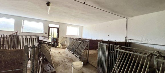 7 rooms House in Lengau, Austria No. 241404 26