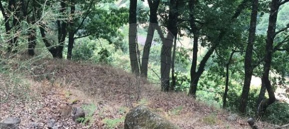 3 Schlafzimmer Haus in Arcos de Valdevez, Portugal, Nr. 17481 18