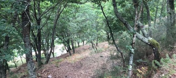 3 Schlafzimmer Haus in Arcos de Valdevez, Portugal, Nr. 17481 22