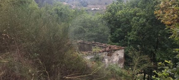 3 Schlafzimmer Haus in Arcos de Valdevez, Portugal, Nr. 17481 11