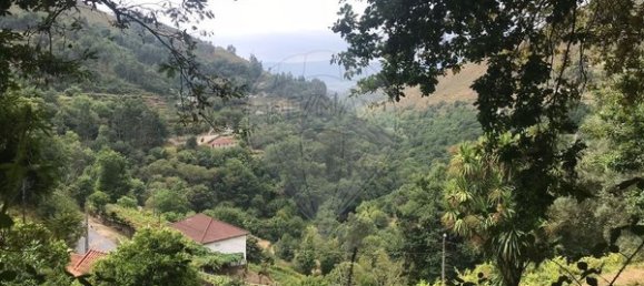 3 Schlafzimmer Haus in Arcos de Valdevez, Portugal, Nr. 17481 19