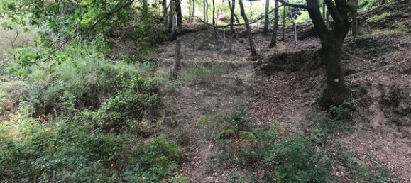 3 Schlafzimmer Haus in Arcos de Valdevez, Portugal, Nr. 17481 24