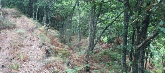 3 Schlafzimmer Haus in Arcos de Valdevez, Portugal, Nr. 17481 23