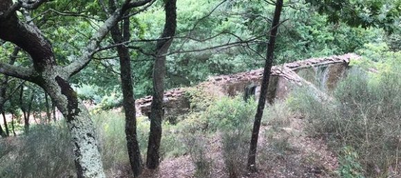 3 Schlafzimmer Haus in Arcos de Valdevez, Portugal, Nr. 17481 17