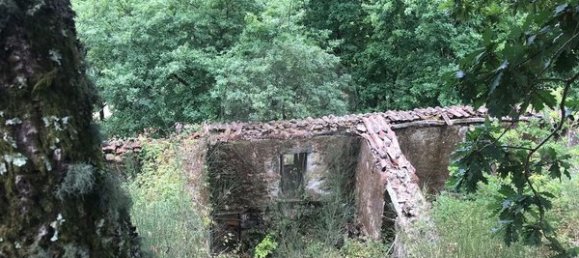 3 Schlafzimmer Haus in Arcos de Valdevez, Portugal, Nr. 17481 7
