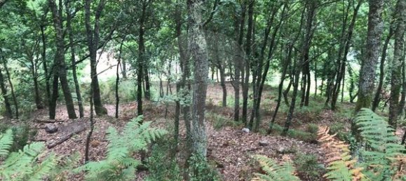 3 Schlafzimmer Haus in Arcos de Valdevez, Portugal, Nr. 17481 5