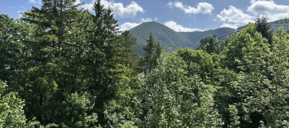 10 rooms House in Semmering, Austria No. 144266 15