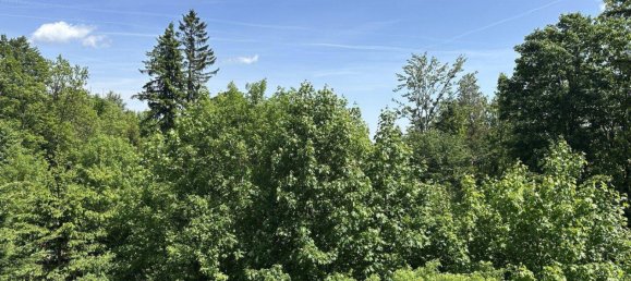 10 rooms House in Semmering, Austria No. 144266 16