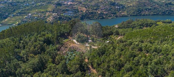 5 bedrooms House in Baiao, Portugal No. 177077 2