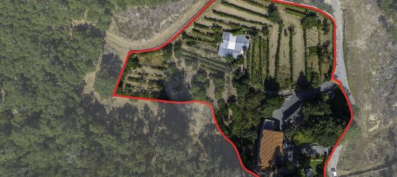 5 bedrooms House in Baiao, Portugal No. 177077 31