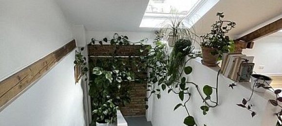 5 bedrooms House in Huningue, France No. 257635 32