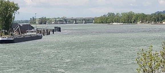 5 bedrooms House in Huningue, France No. 257635 11