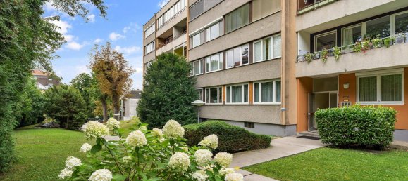 5 rooms Apartment in Baden, Austria No. 234011 13