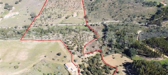 2 bedrooms House in Sao Martinho das Amoreiras, Portugal No. 90600 14