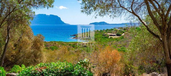 3 bedrooms Villa in Golfo Aranci, Italy No. 375593 33