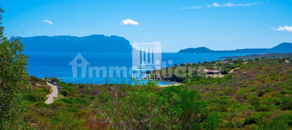 3 bedrooms Villa in Golfo Aranci, Italy No. 375593 31