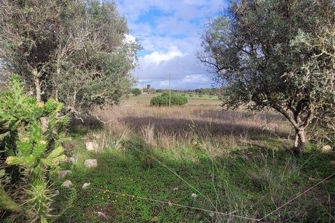 9720m² Land in Lagoa, Portugal No. 151602