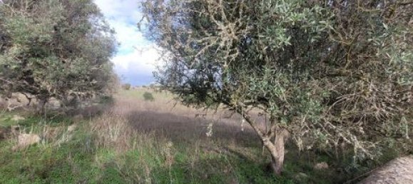 9720m² Land in Lagoa, Portugal No. 151602 4