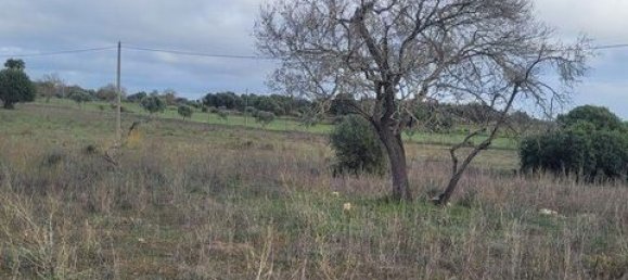 9720m² Land in Lagoa, Portugal No. 151602 5