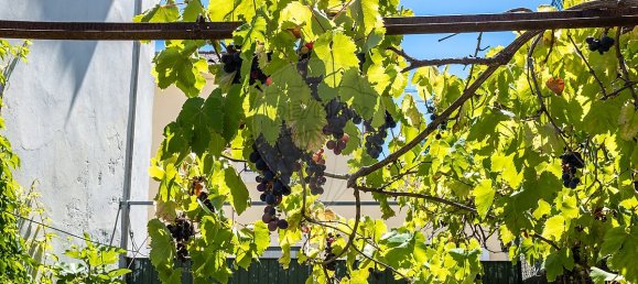 5 Schlafzimmer Schlösser in Coimbra, Portugal, Nr. 27691 40