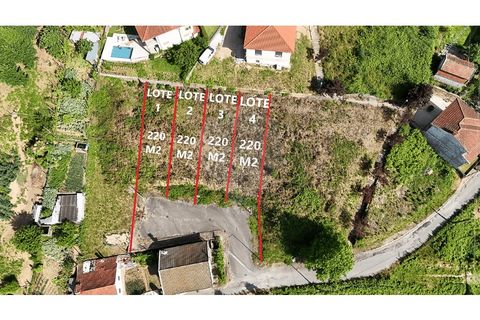 Terrain à Cabeceiras de Basto, Portugal No. 195600