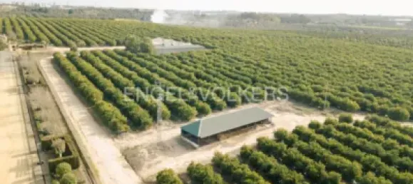 8 غرف نوم منزل في Andalusia, Spain رقم 140223 6