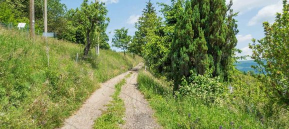 6غرفة منزل في Lama Mocogno, Italy رقم 165080 6