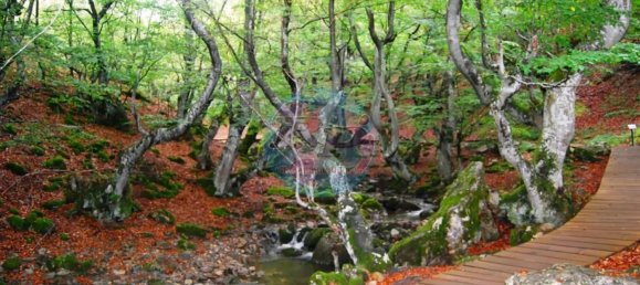 4 Schlafzimmer Haus in Leon, Spain, Nr. 71312 25