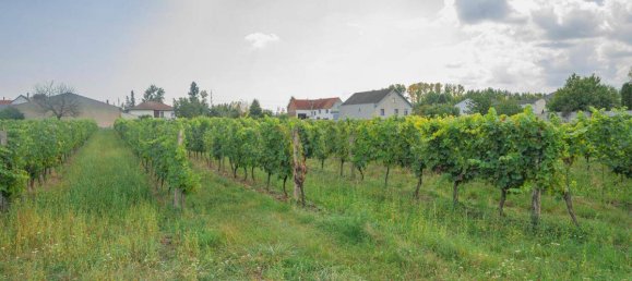 3 bedrooms House in Schutzen am Gebirge, Austria No. 12117 38