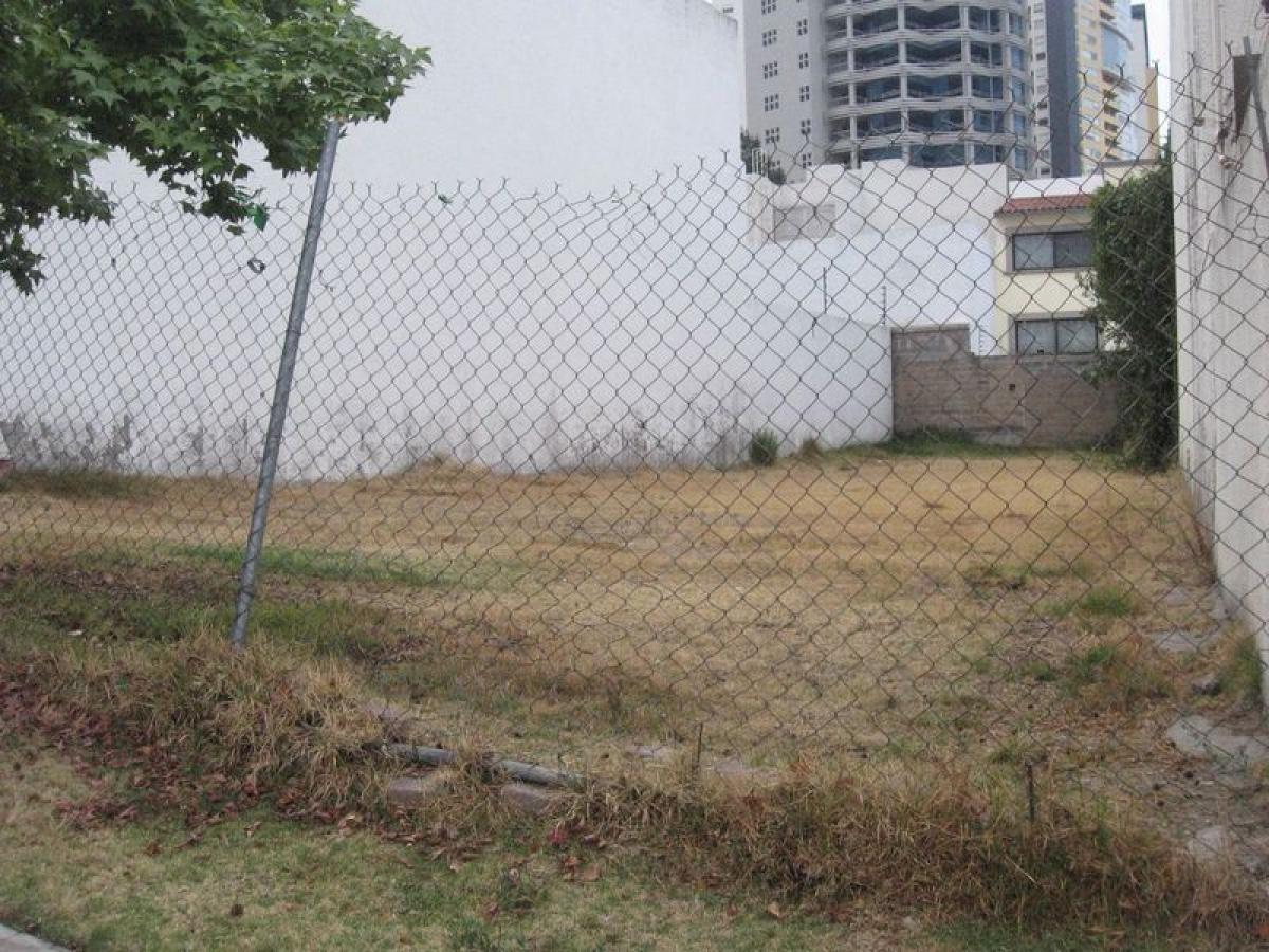  Land in Mexico No. 204224