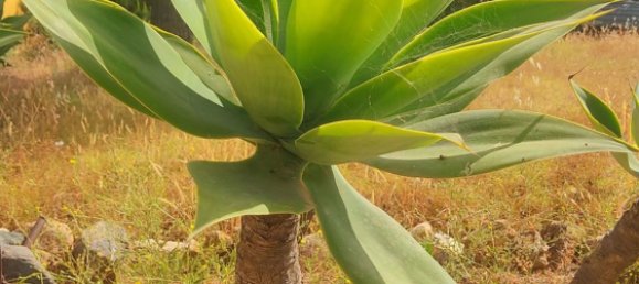 2 bedrooms House in Mijas, Spain No. 146884 2