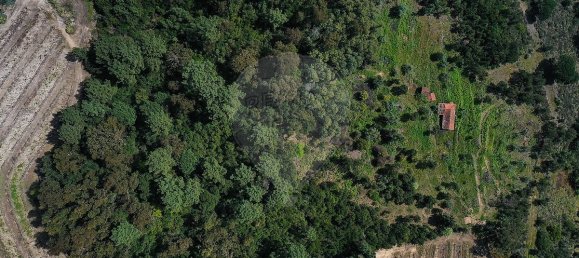 Casa de 3 dormitorios en Baiao, Portugal No. 26832 22