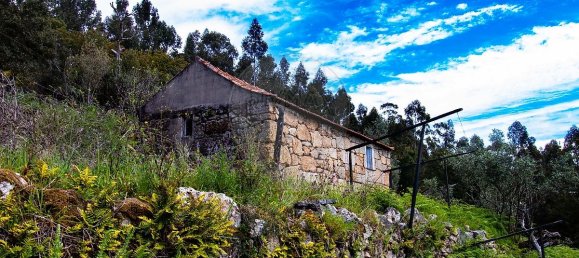 Casa de 3 dormitorios en Baiao, Portugal No. 26832 14