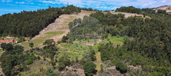 Casa de 3 dormitorios en Baiao, Portugal No. 26832 21
