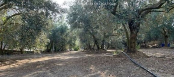 Terreno em Lleida, Spain 1014 m² N.º 159272 10