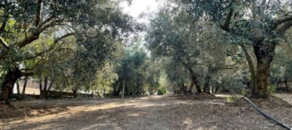 Terreno em Lleida, Spain 1014 m² N.º 159272 8