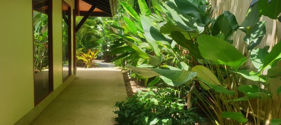 6 Schlafzimmer Haus in Bang Tao, Thailand, Nr. 78917 8