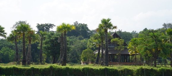  Land in Chiang Mai, Thailand No. 27015 10