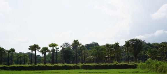  Land in Chiang Mai, Thailand No. 27015 5