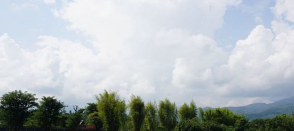  Land in Chiang Mai, Thailand No. 27015 8